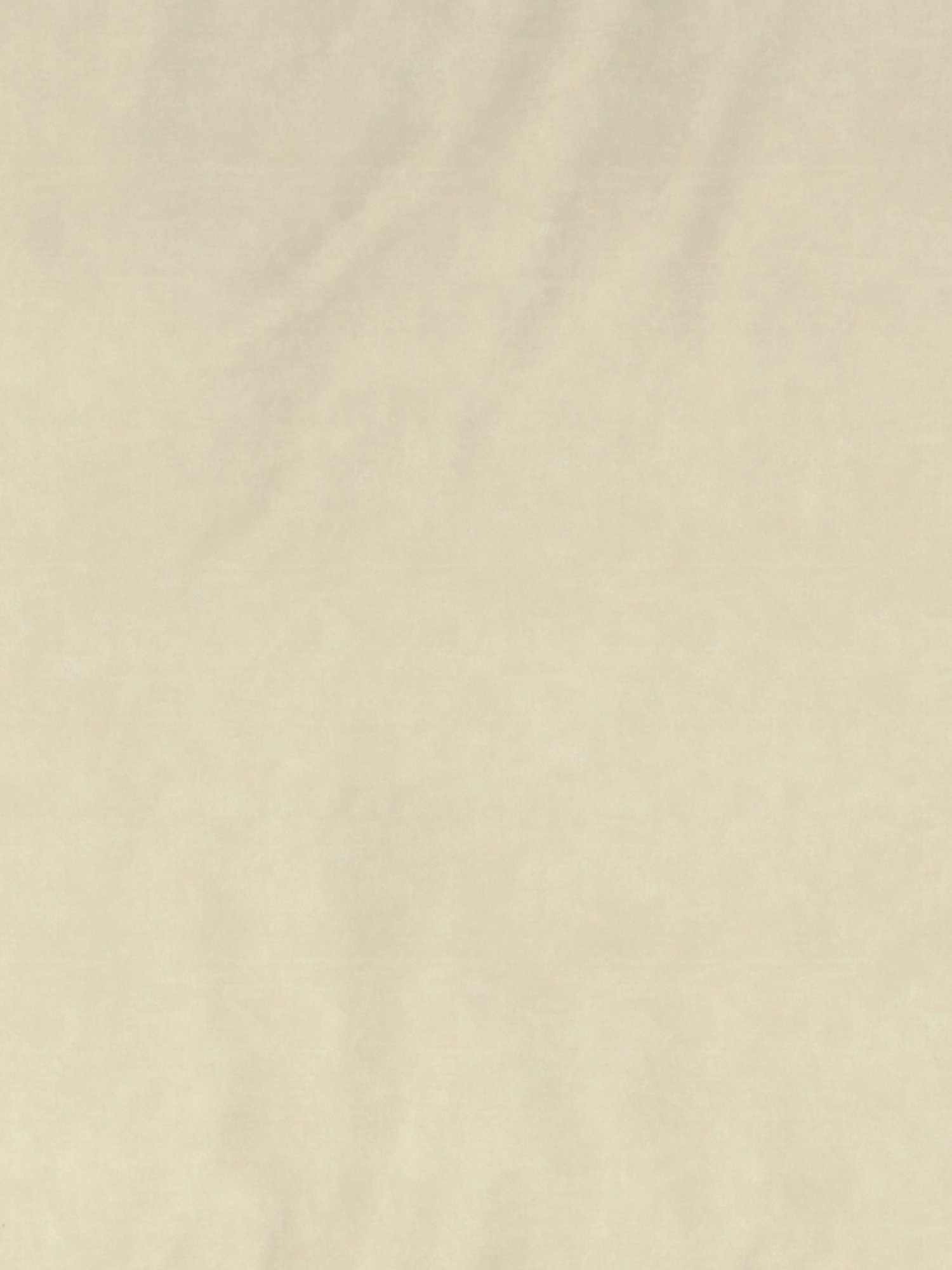 DDecor Solid Beige 180 TC Cotton King Fitted Bed Sheet With 2 Pillow Covers