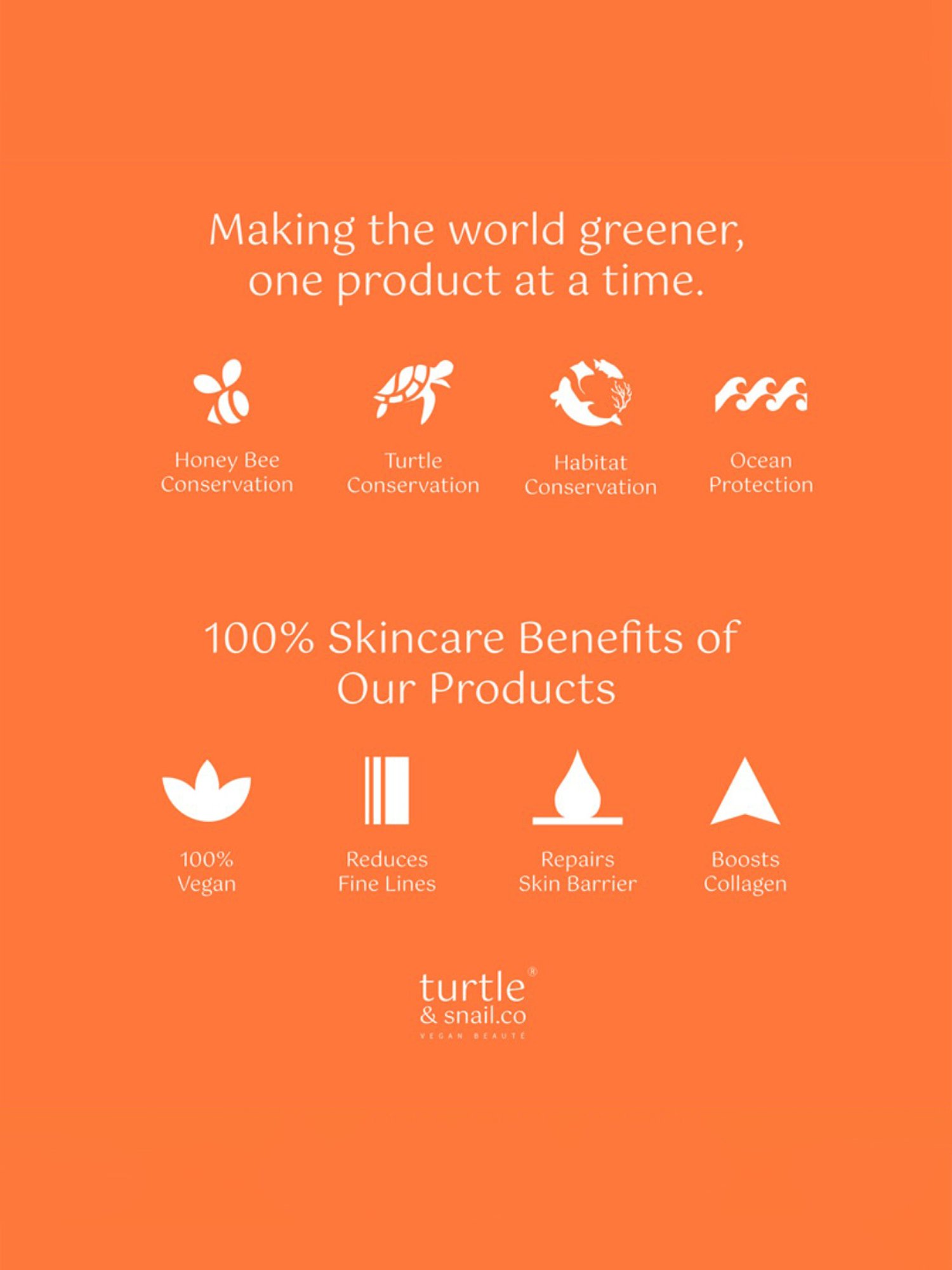 Turtle & Snail.Co Hybrid Plant-Based Sunscreen with SPF 50 & Water Resistance PA+++ - 54 ml