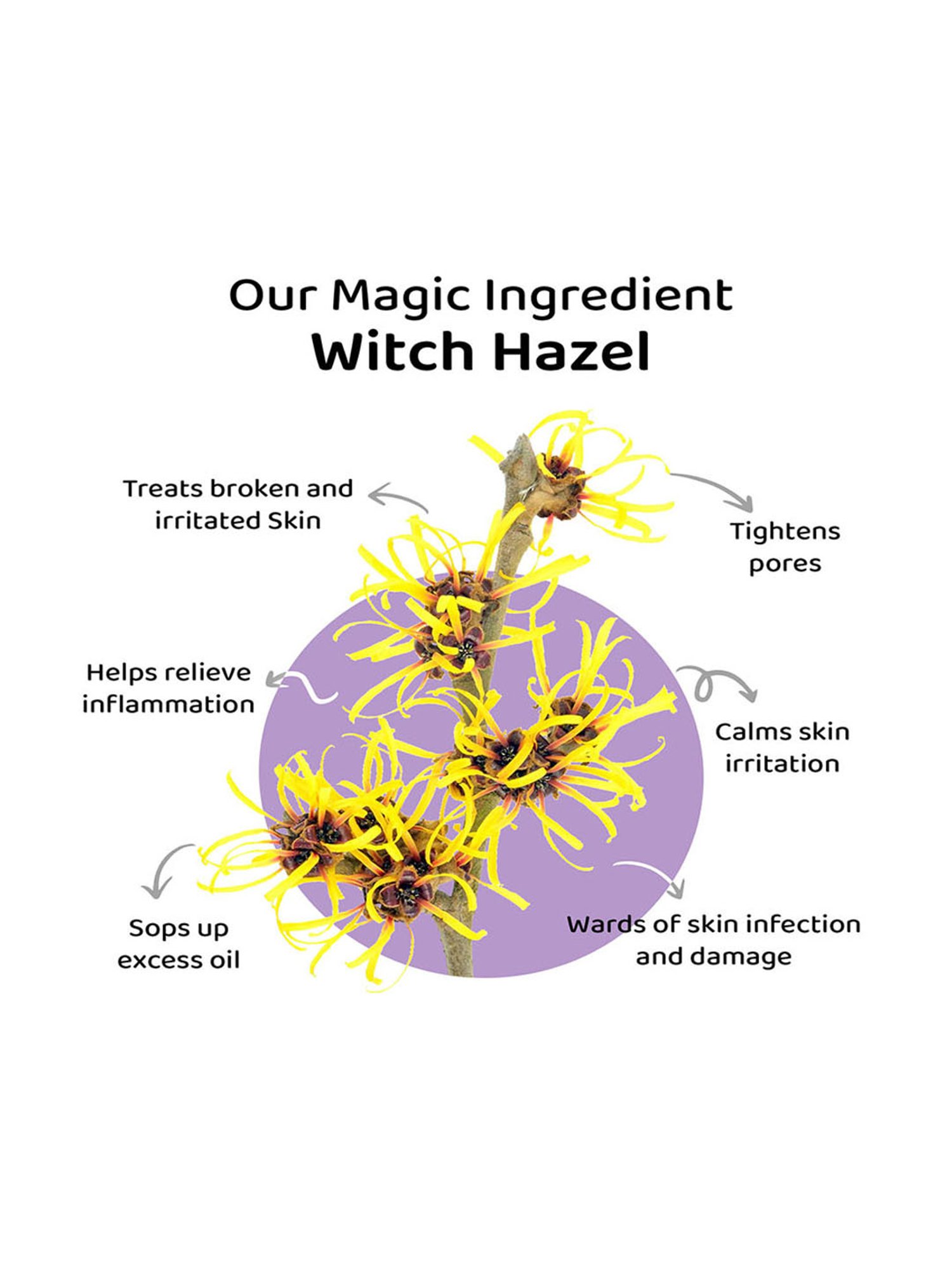 Elitty Mad Over Nails Matte Nail Polish Green Flags Only (Green) - 6 ml