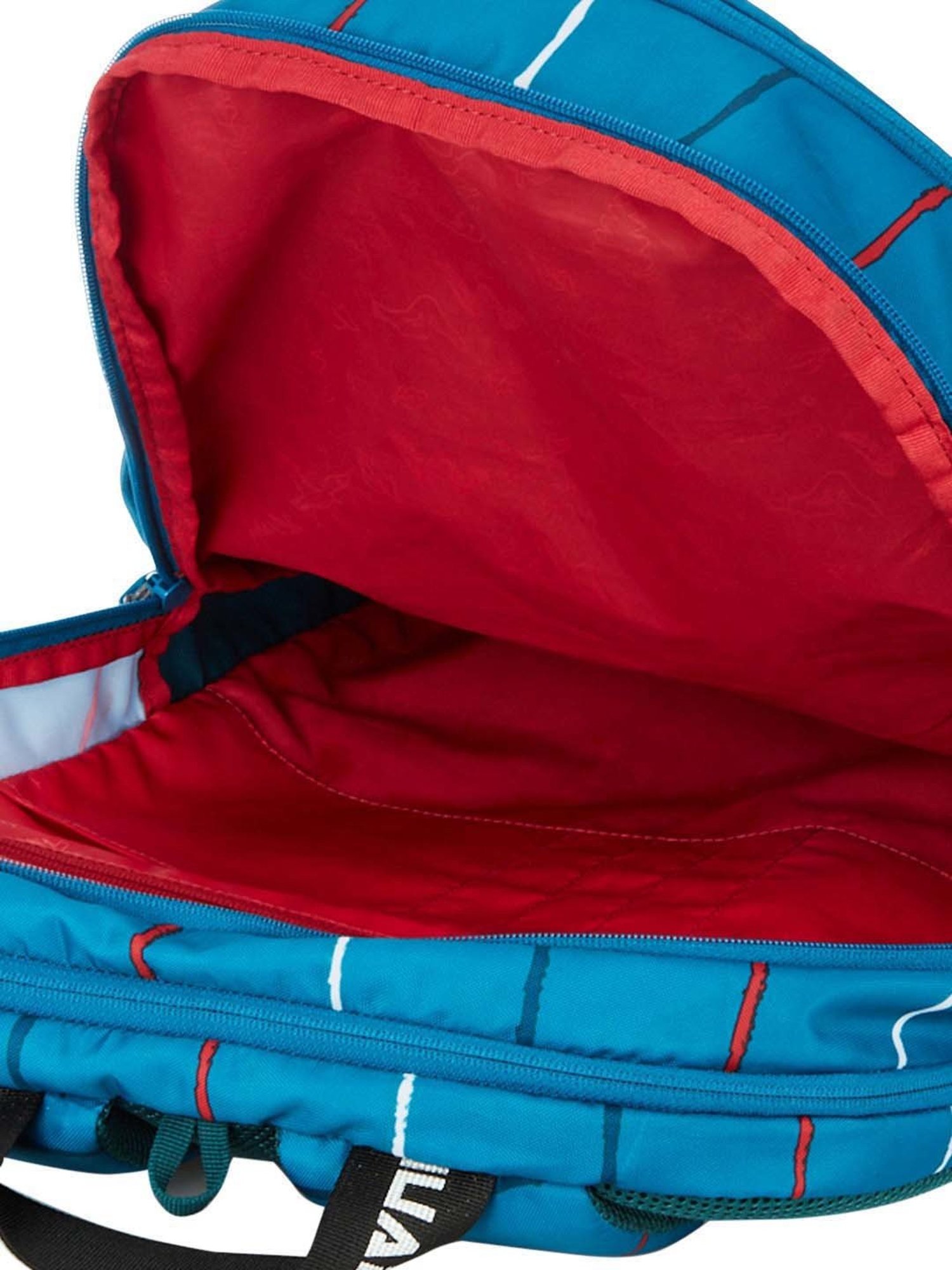 Wiki 40 Ltrs Blue Medium Backpack