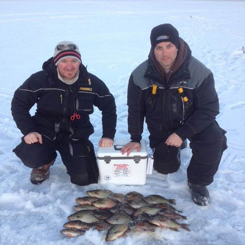 Engel 13 Quart Portable Insulated Live Bait Fishing Dry Box 18 Can Hard Airtight Cooler with Water Speed Aerator Pump and Removable Pull Net, White