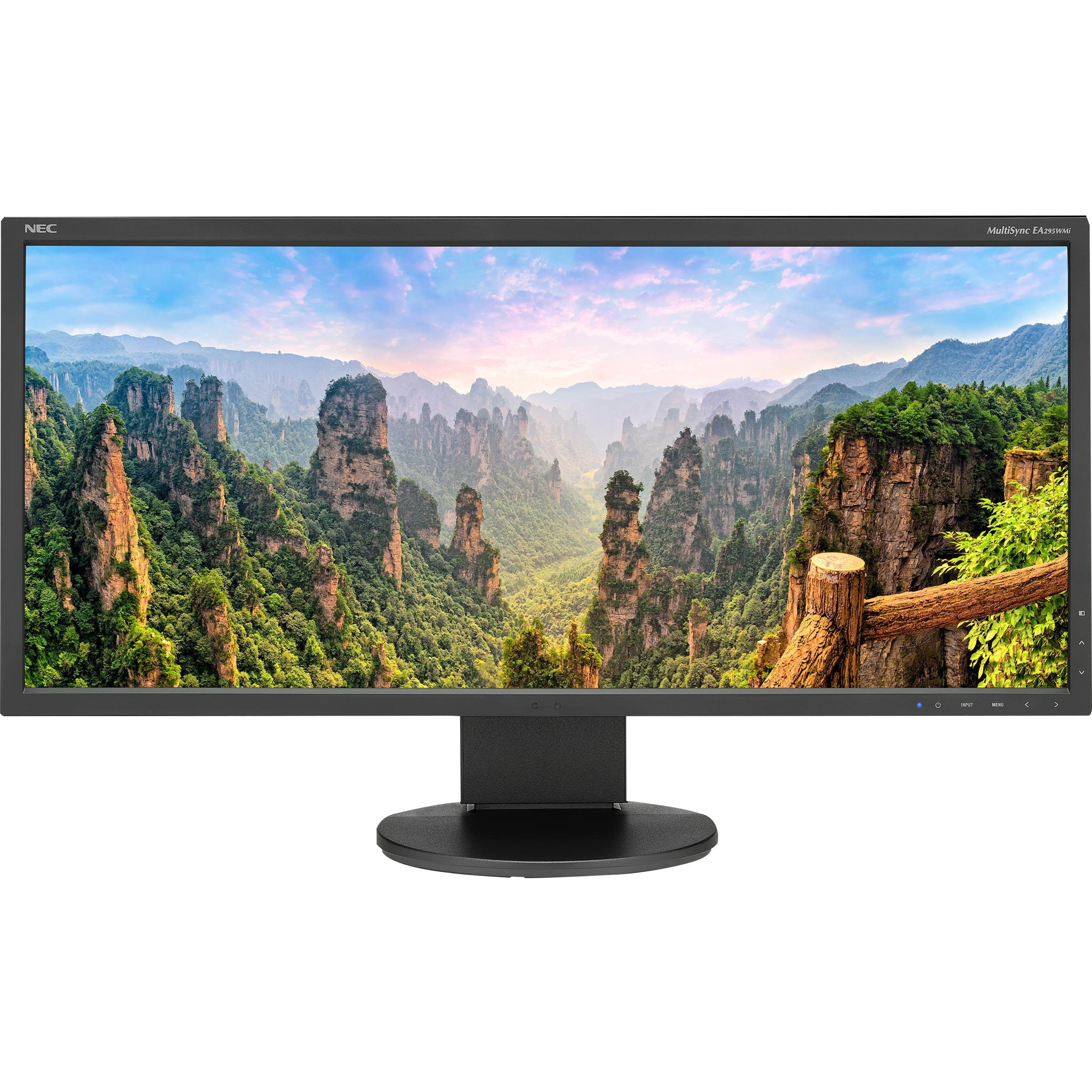 NEC  EA295WMI-BK 29" 21:9 Ultrawide IPS Monitor