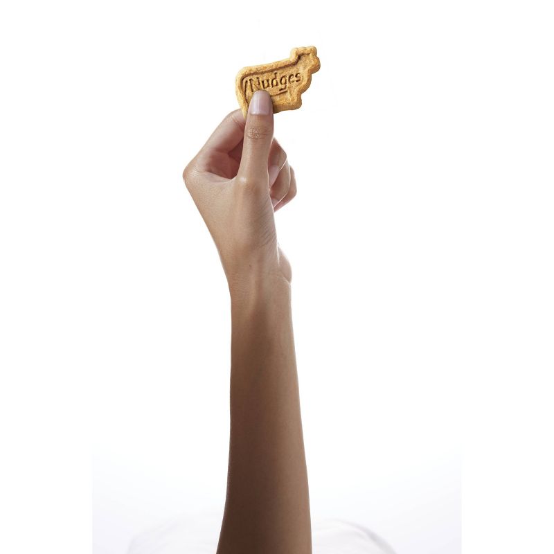 Nudges Protein Biscuit Beef Dog Treats - 16oz