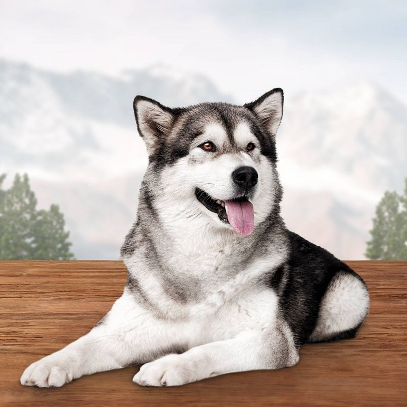 Blue Buffalo Wilderness Denali Dinner Chewy Dog Treats - 8oz