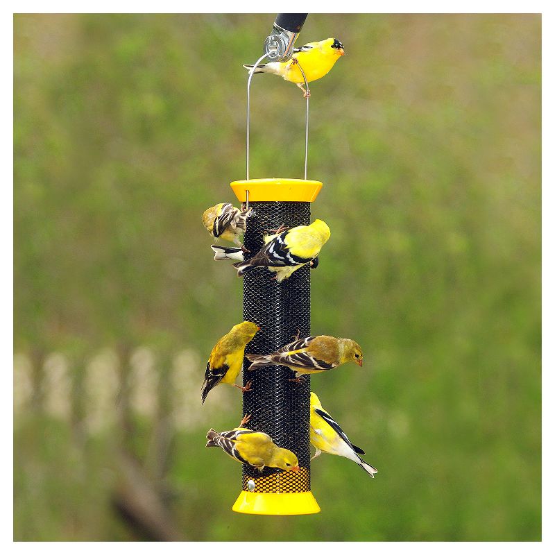 Droll Yankees New Generation Metal Finch Sock Bird Feeder  - Yellow - 13"