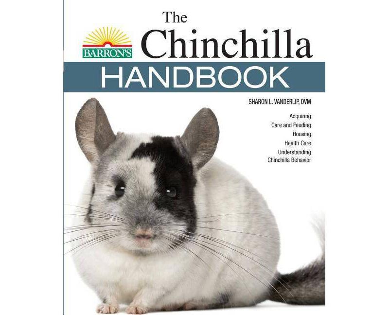 Behold the Personal Maine Coon - by  Phyllis Stiebens (Paperback)