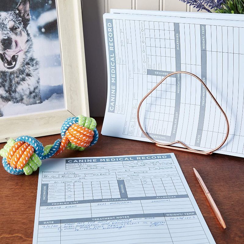 Okuna Outpost 250 Pack Pet Medical Record Sheets for Vets, Paper Puppy Vaccine Cards (8.5 x 11 in)