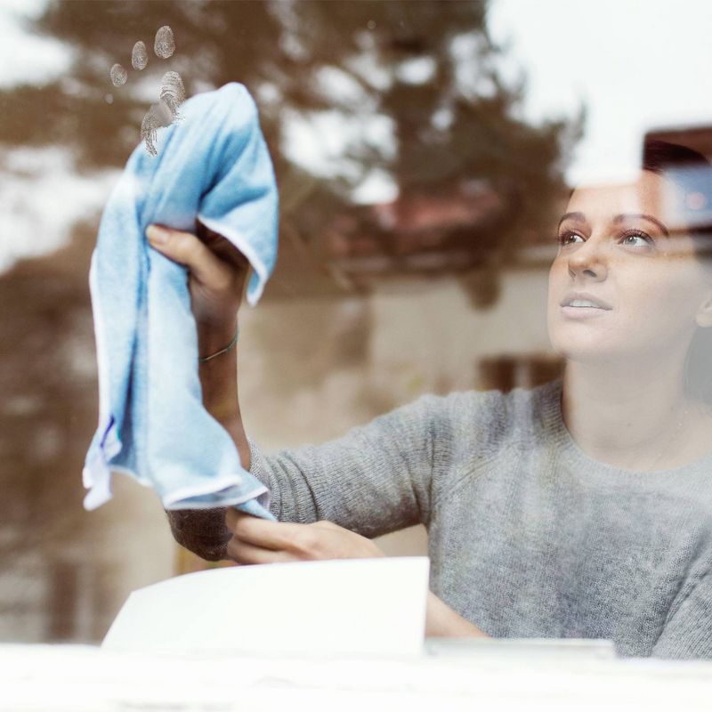 Sprayway Glass Cleaner Ammonia Free Aerosol - 19oz