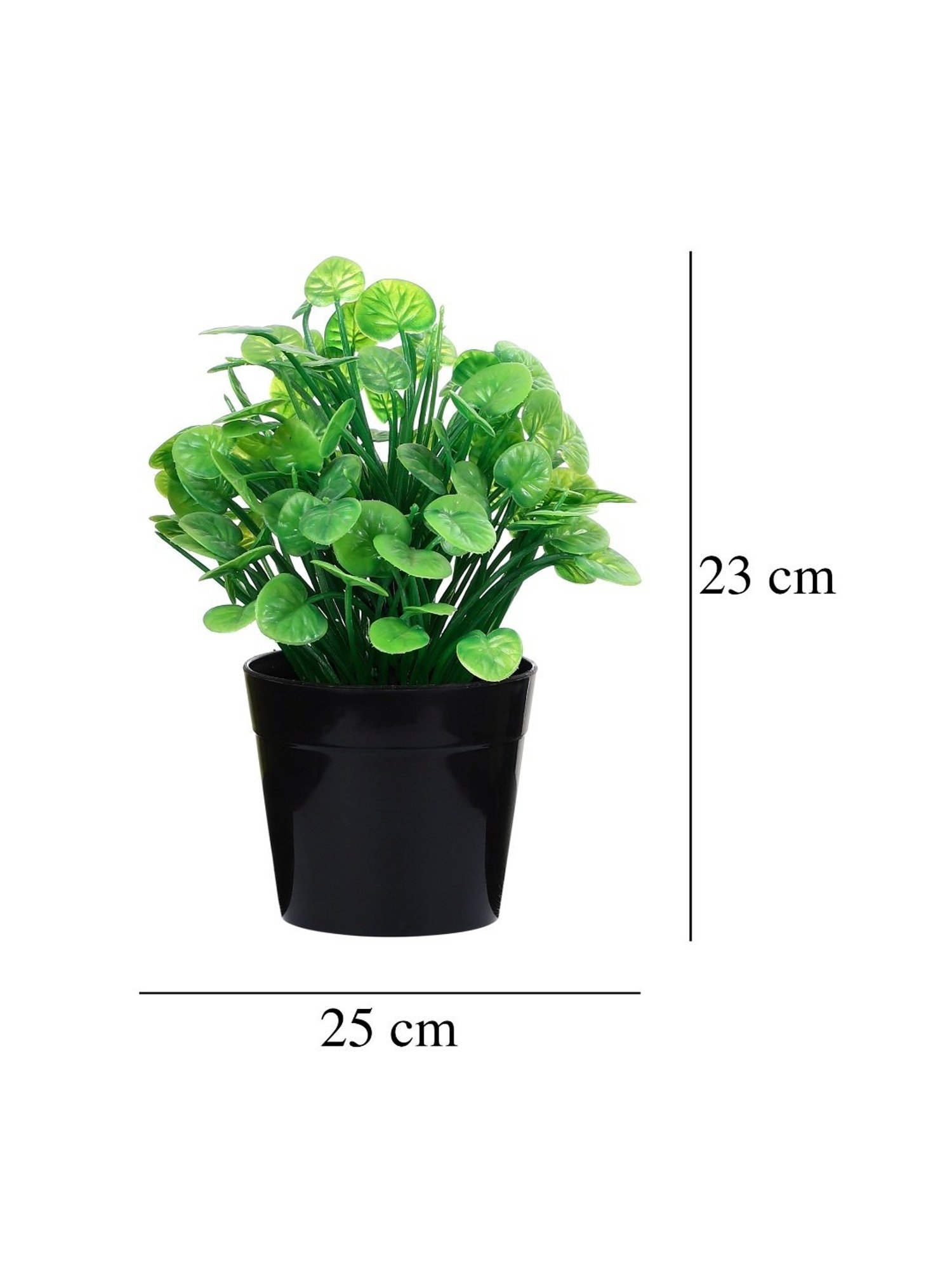 Foliyaj Multicolor Plastic Artificial Water Cress Plant with Pot