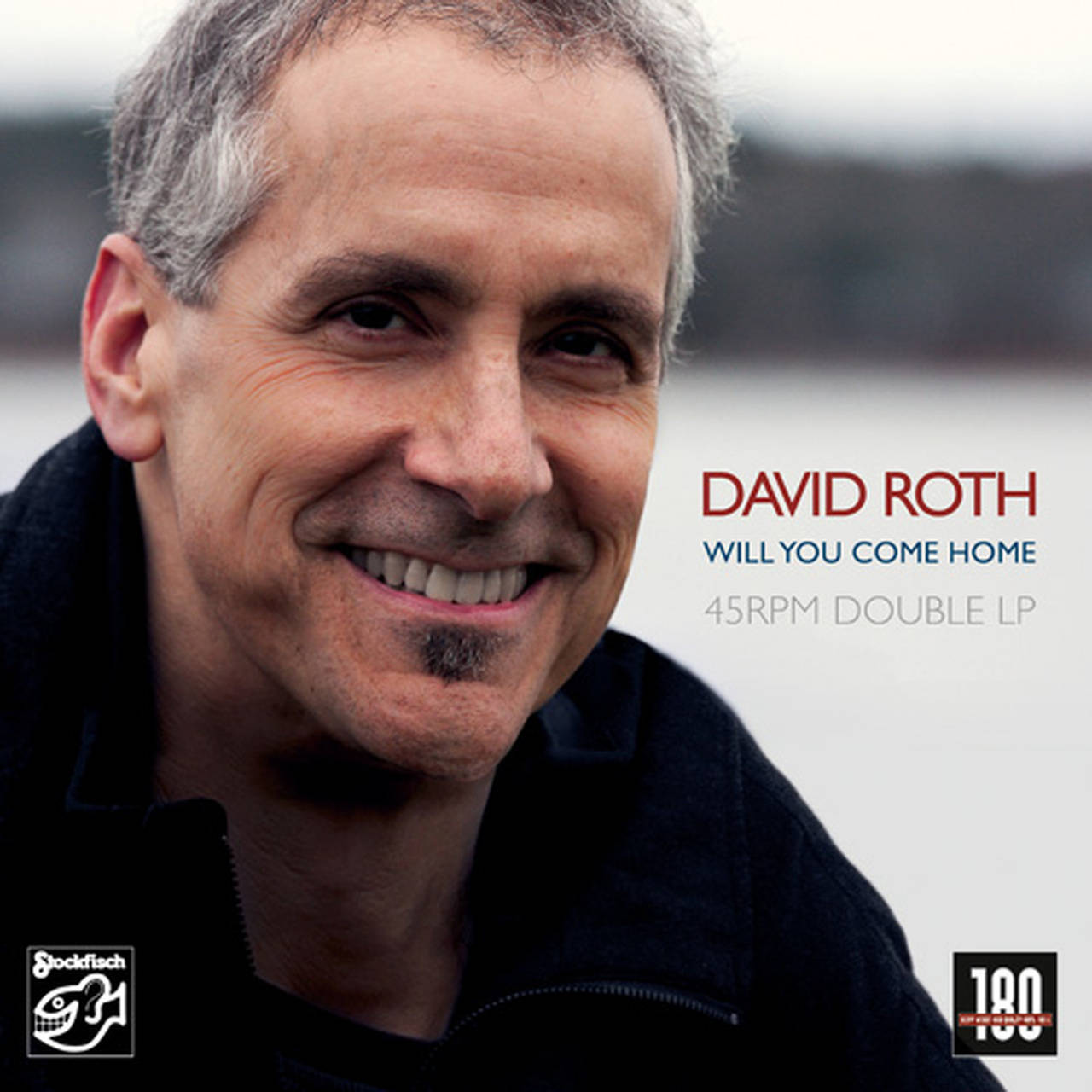 David Roth Will You Come Home 180g 45rpm 2LP (Vinyl)