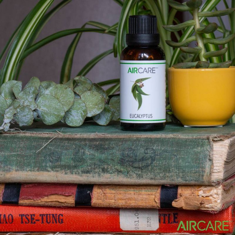 AIRCARE 30ml Eucalyptus Essential Oil