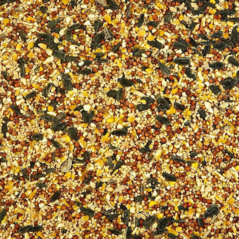 Kaytee Wild Bird Food - 10lb