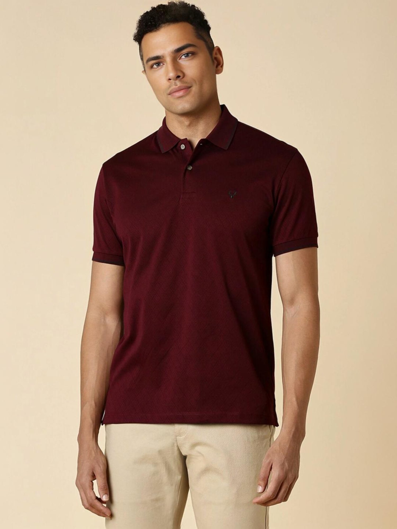 Allen Solly Maroon Regular Fit Polo T-Shirt
