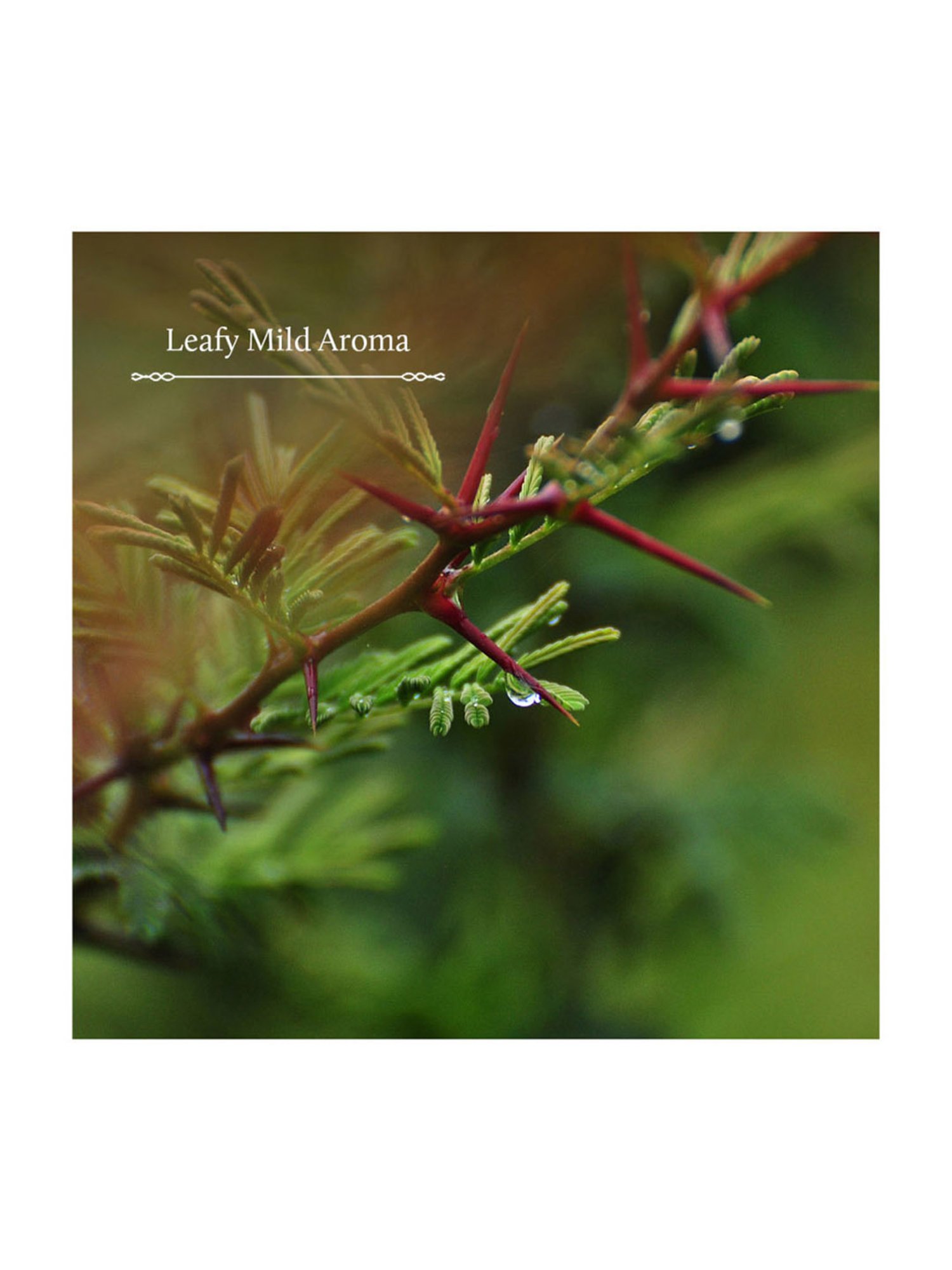 Blue Nectar Anti Dandruff Shampoo with Bhringraj & Shikakai - 200 ml