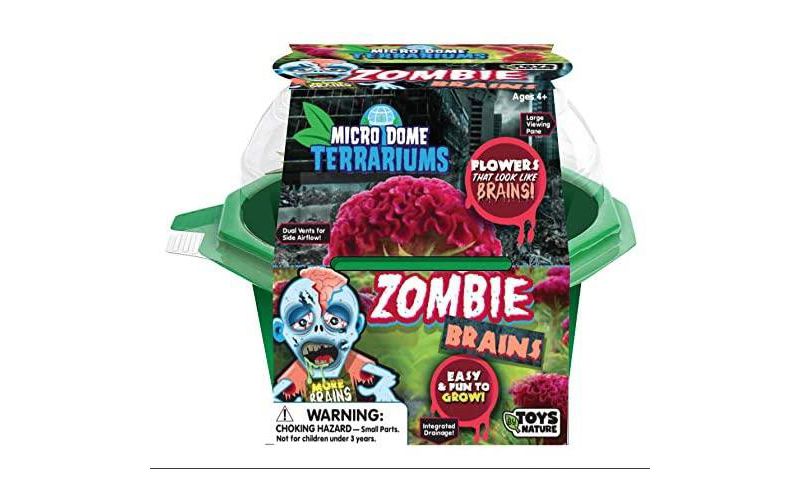 Toys By Nature Character Micro Domes - Zombie Brains