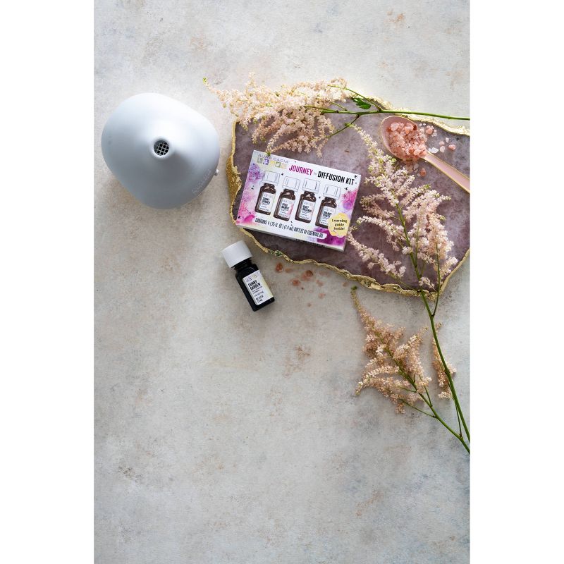 Aura Cacia Journey to Diffusion Kit - 1 fl oz