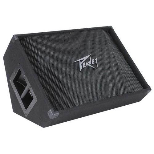Peavey PV-15M 2-Way 15" Floor Monitor - 500W - New