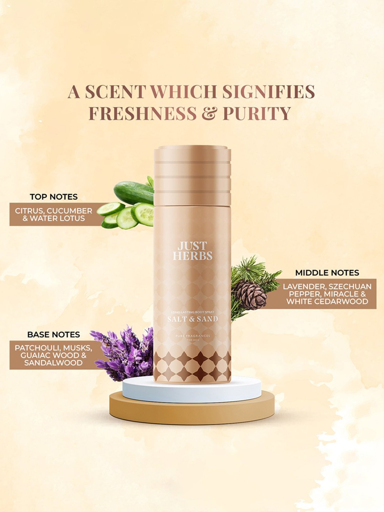 JUST HERBS Long Lasting Salt & Sand Body Spray for Men - 150 ml