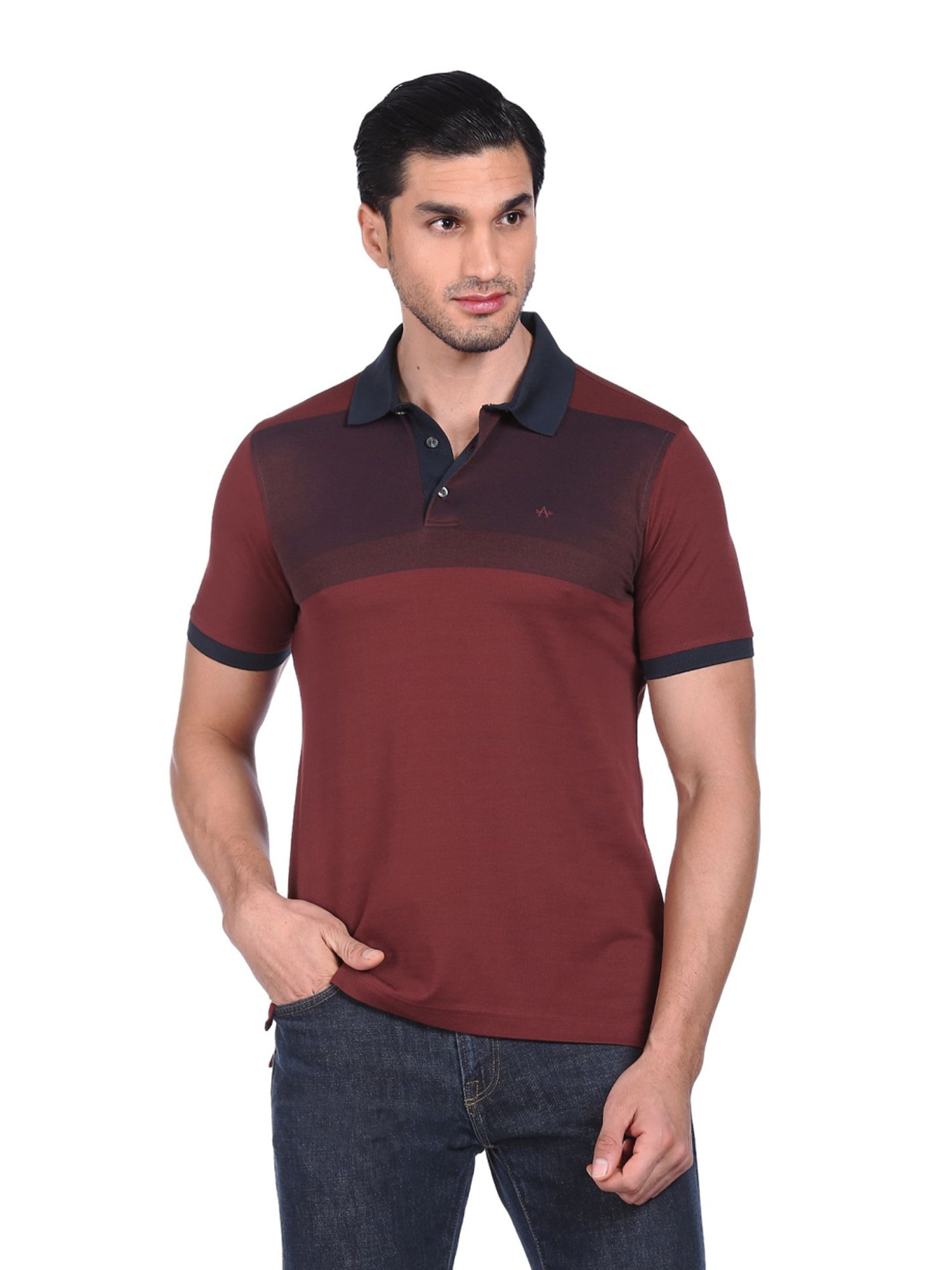 Arrow Maroon Cotton Regular Fit Colour Block Polo T-Shirt