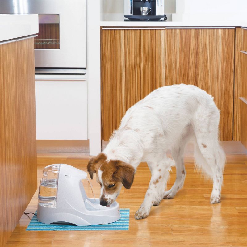 PetSafe Platinum Pet Fountain