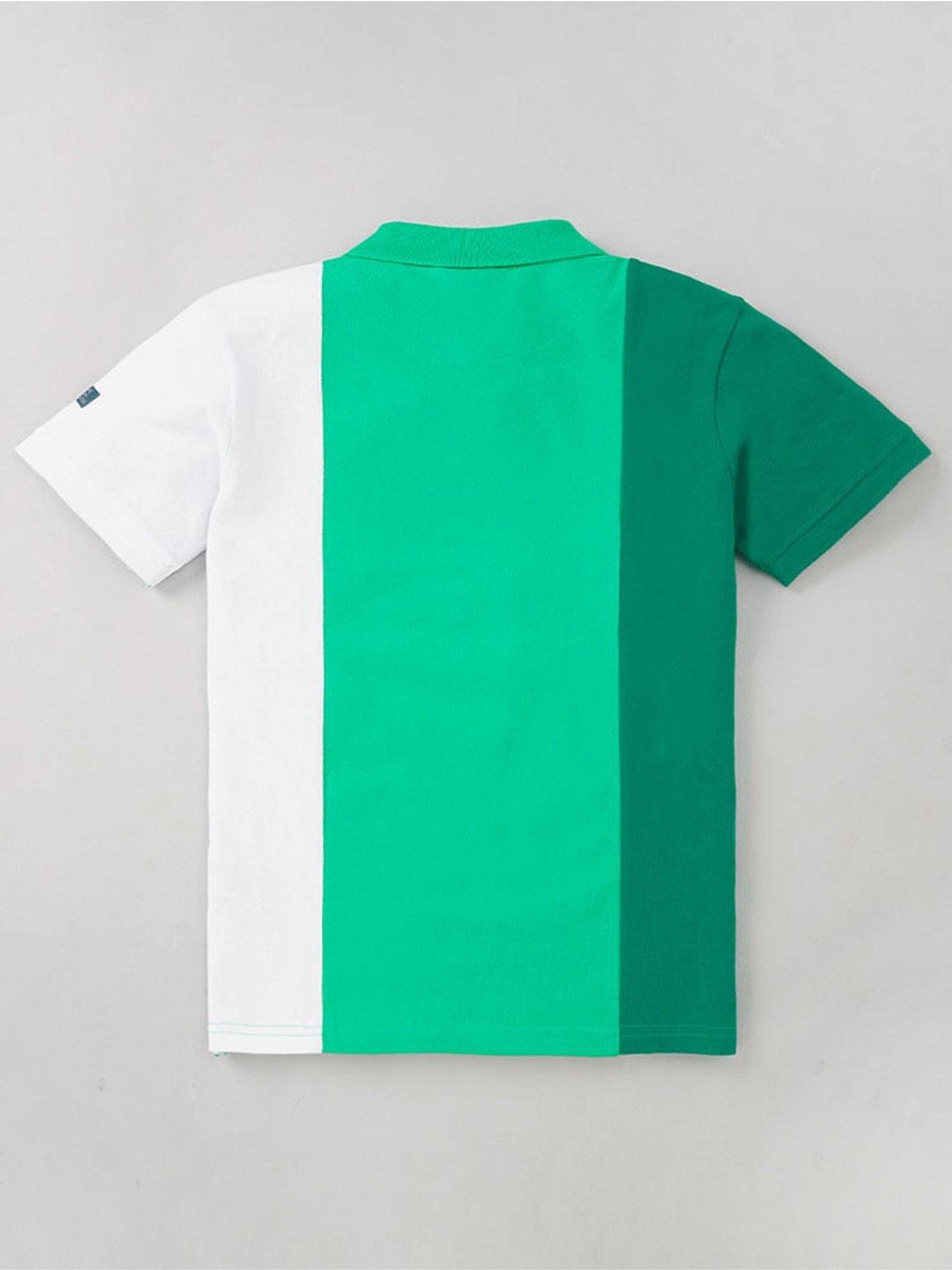 Edheads Kids Green & White Cotton Color Block Polo T-Shirt