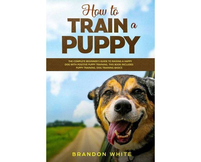 How to Train a Puppy - by  Brandon White (Paperback)
