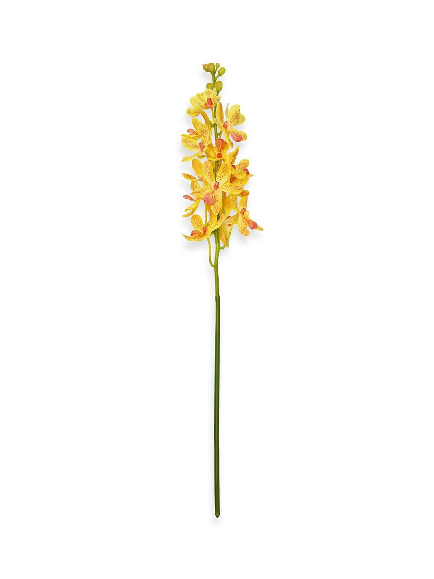 Pure Home and Living Yellow Plastic Artificial Vanda Orchid Flower Stem