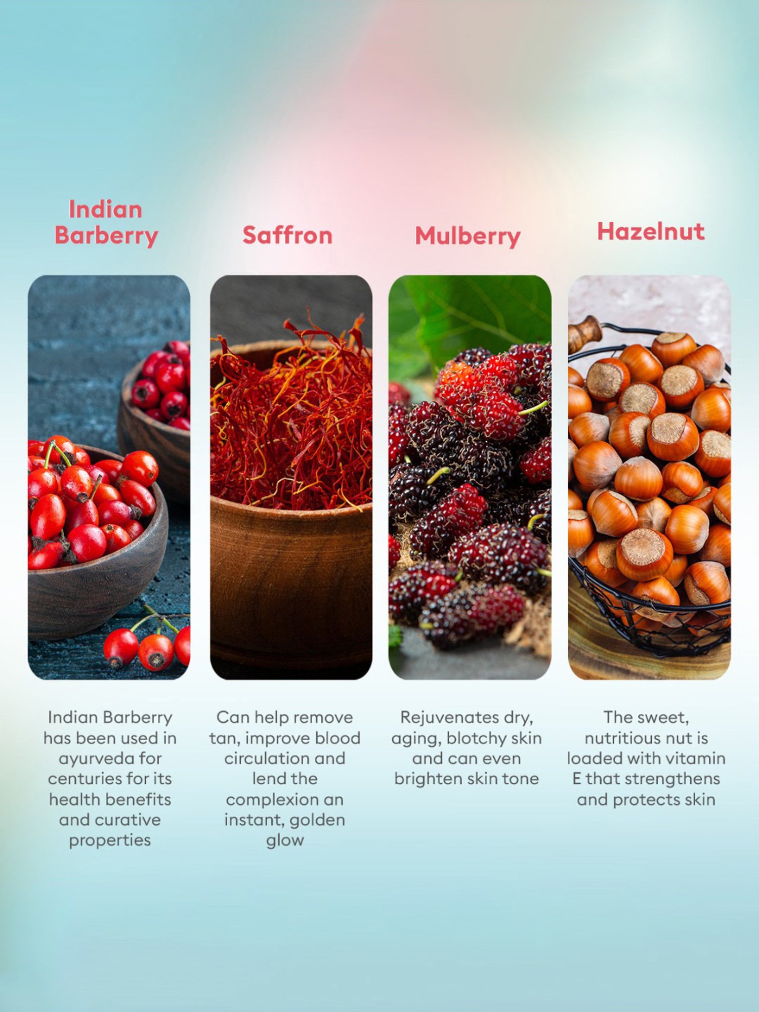 Globus Naturals Papaya Facial Kit