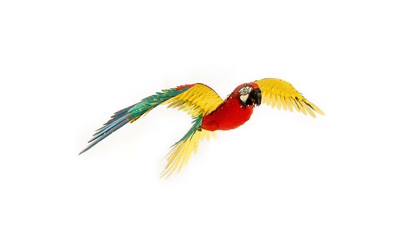 Fascinations ICONX Jubilee Parrot 3D Metal Model Kit