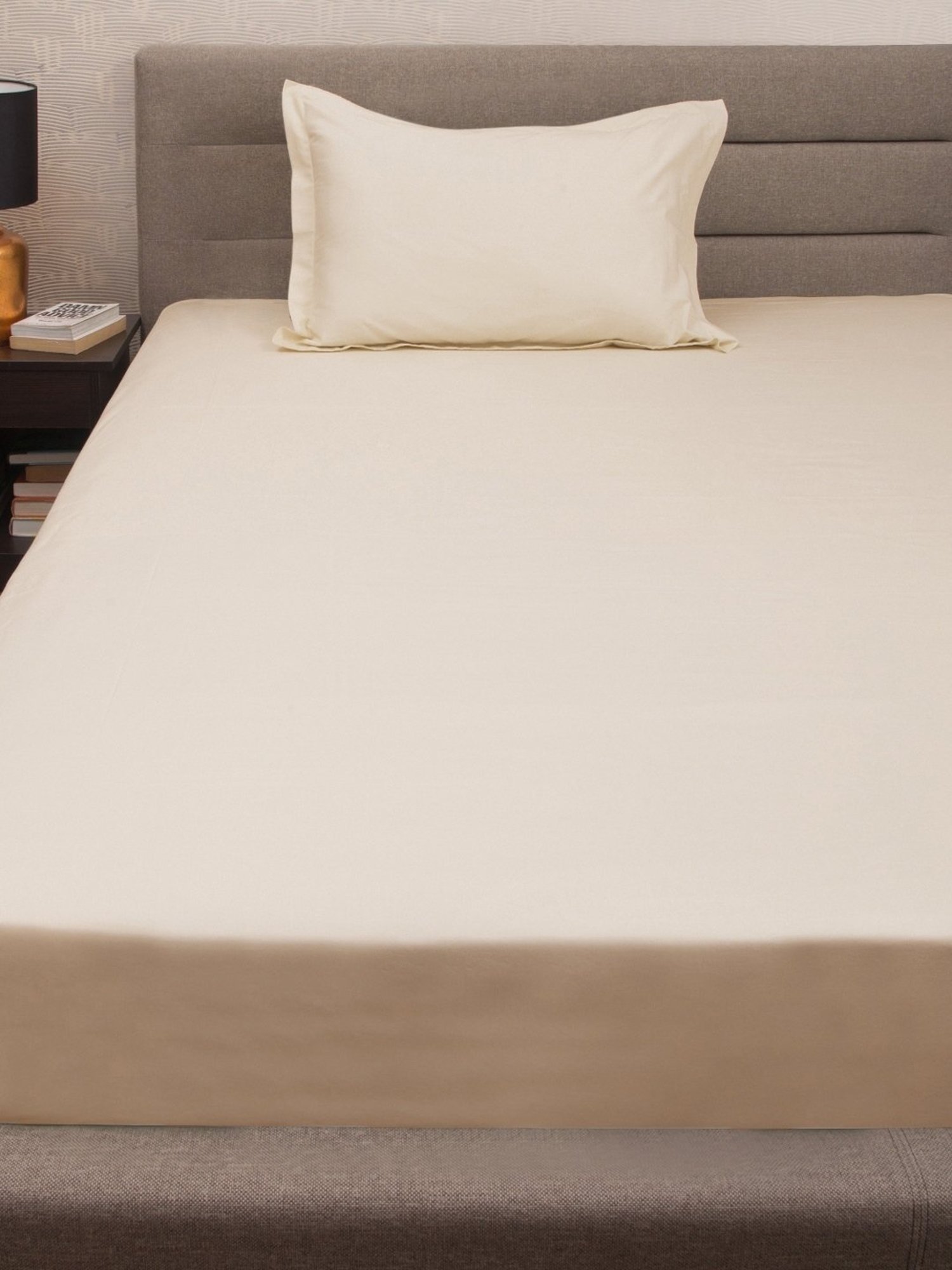 Petal Home Taupe 300 TC Cotton Single Bed Sheet with 1 Pillow Cover