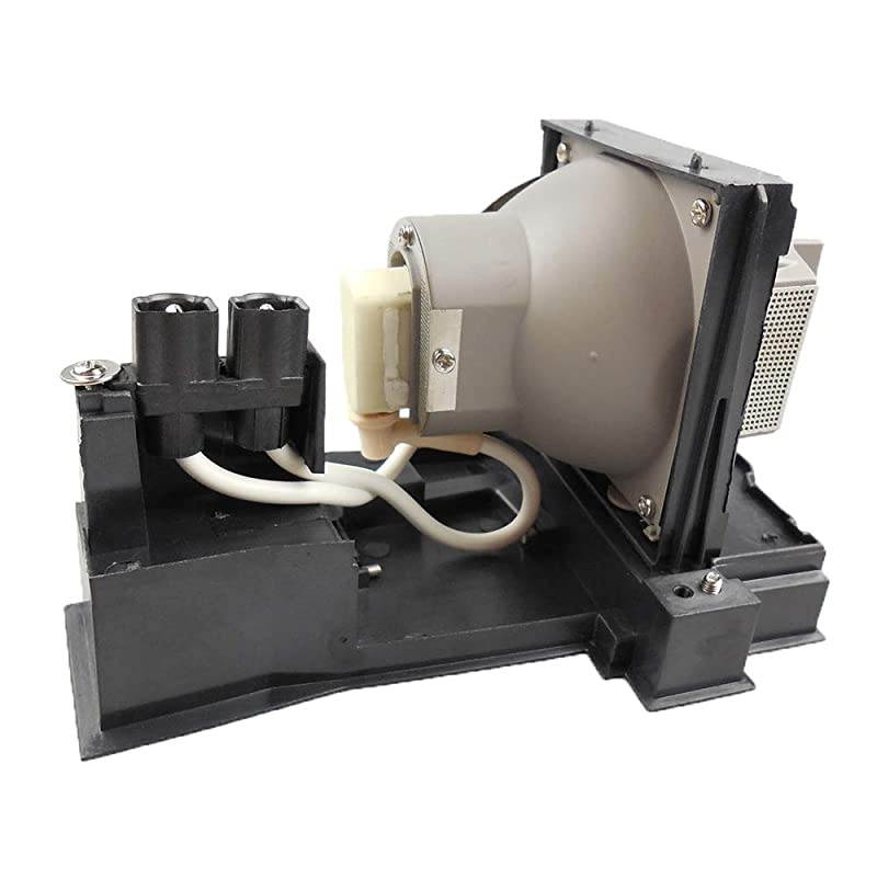 OMAIC Projector Lamp Bulb for Epson ELPLP67/ V13H010L67 Home Cinema PowerLite 500 707 710HD 750HD, W12 S12 EX5210 EX7210 EX3210 EX3212 VS210 VS220 X12 Replacement Projector Lamp/Bulb