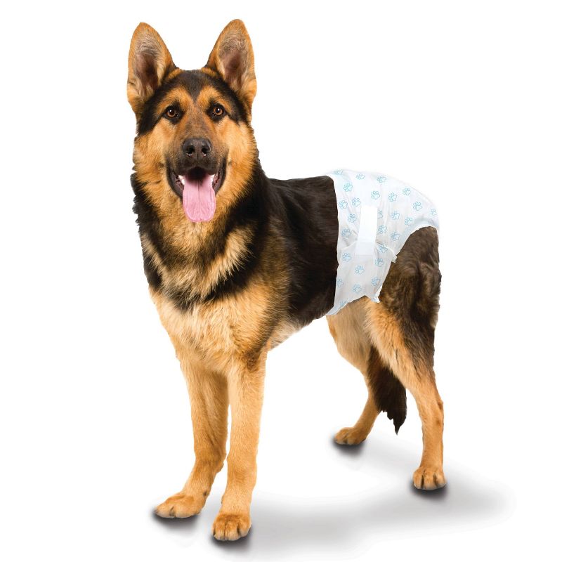 Four Paws Wee-Wee Disposable Dog Diapers - 12ct - L/XL