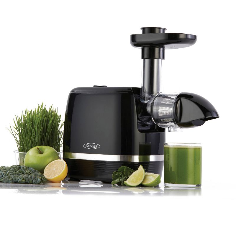 Omega Cold Press 365 Horizontal Slow Juicer - Black