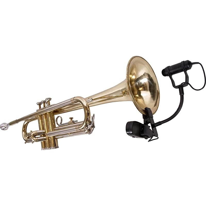 GalaxyTrek Wireless ClipOn Horn Mic GTINST3