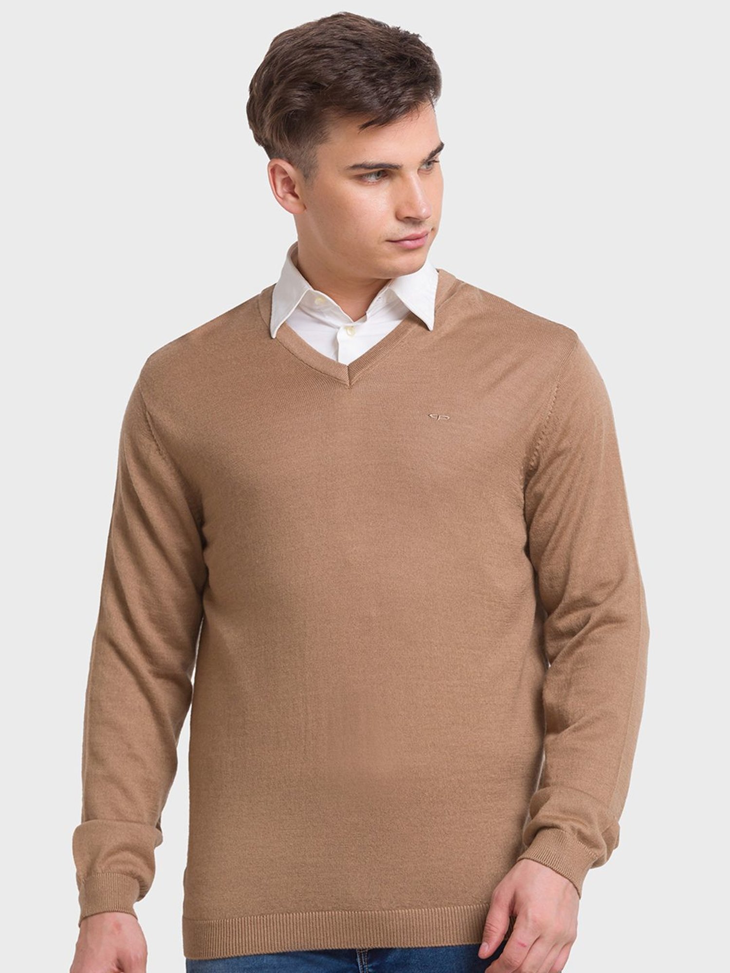 ColorPlus Brown Tailored Fit Sweaters