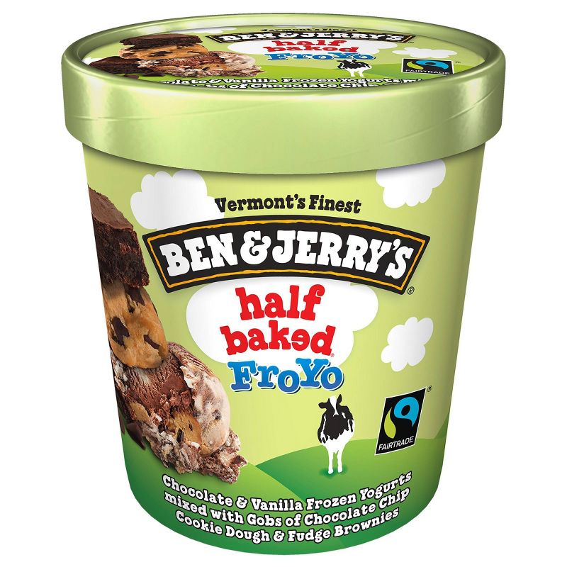 Ben & Jerry's Frozen Yogurt Half Baked FroYo - 16oz