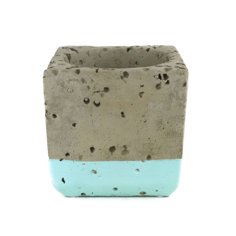 Van Zyverden Roses Mikado Root Stock