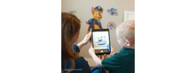 PAW Patrol Wall Decal