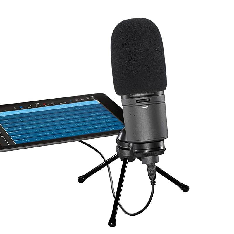 Windscreen Foam Cover Windscreen Pop Filter for Audiotechnica AT2020 Condenser Studio Microphone 2 PACK