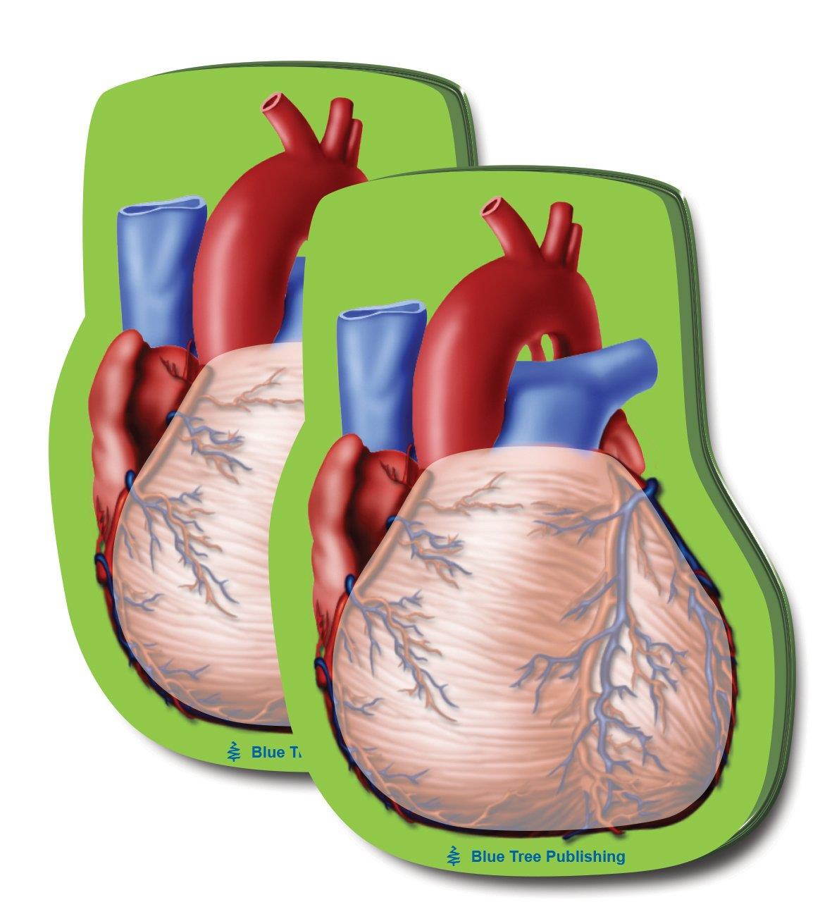 Heart Stick Notes, 2 Pack-100 Sheets Per Pack