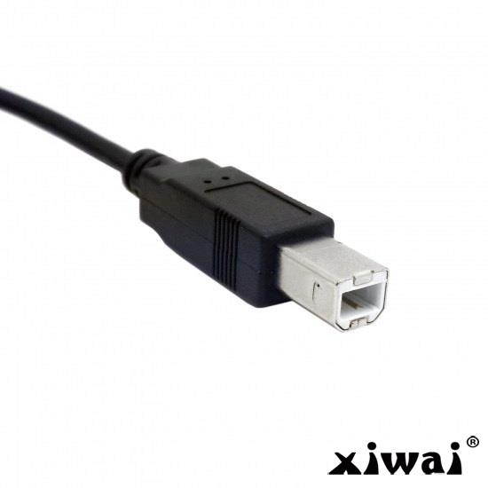 Xiwai Dual USB 2.0 Male to Standard B Male Y Cable 80cm for Printer & Scanner & External Hard Disk Drive