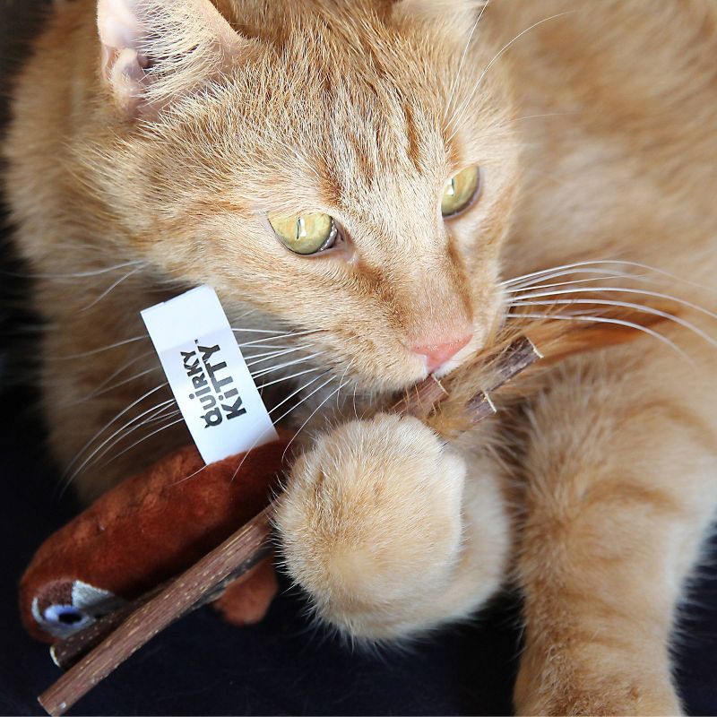 Quirky Kitty Silvervine Stick Sloth Cat Toy - Brown