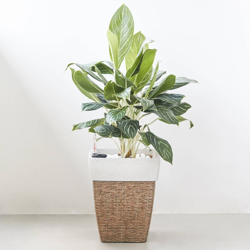 Martha Square Self-Watering Planter Sandy Brown - Vifah