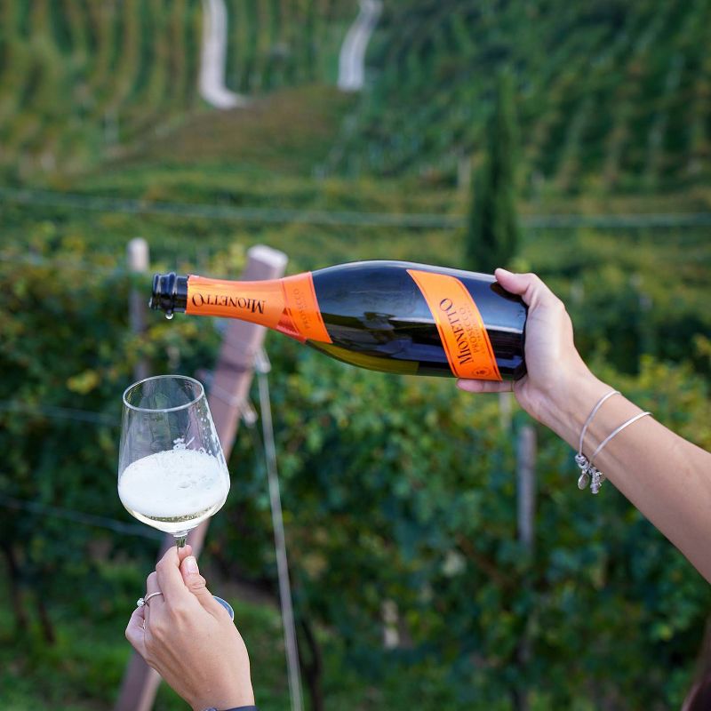 Mionetto Prosecco Brut Sparkling White Wine - 750ml Bottle