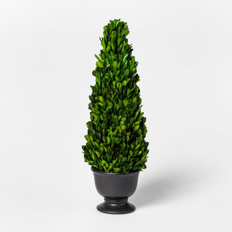 Preserved Boxwood Cone Tree  - Smith & Hawken™