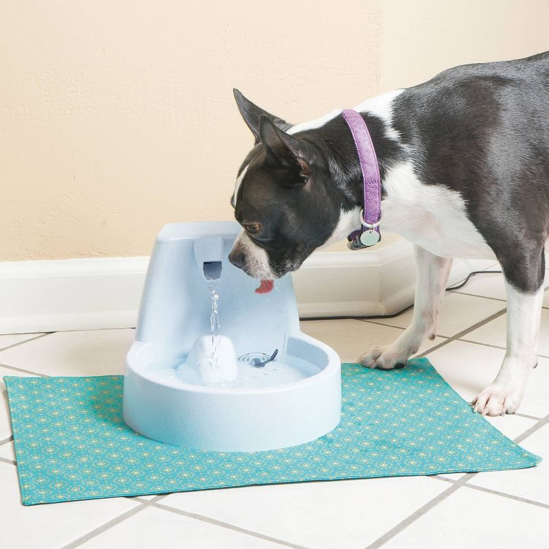 PetSafe Original Fountain