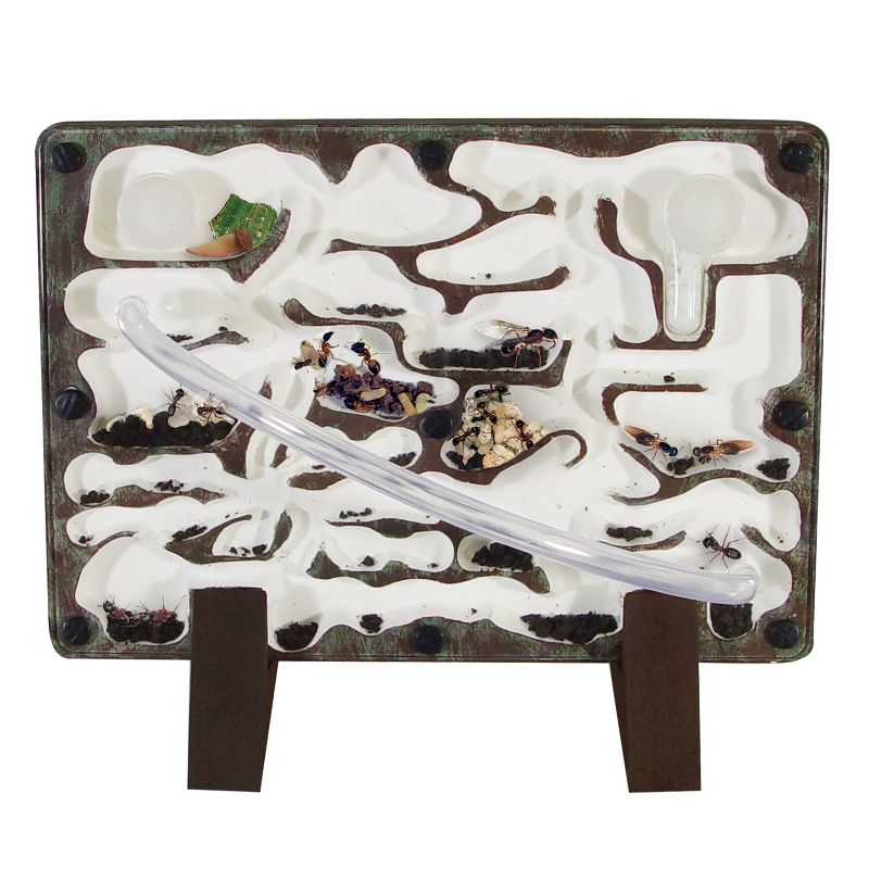 National Geographic Jr Metal Detector