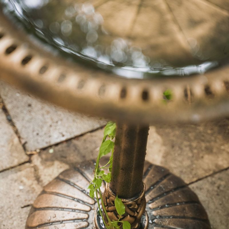 33" Lightweight Plastic Outdoor Flower Design Birdbath and Birdfeeder Bronze - XBrand