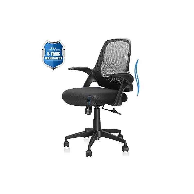 Chair, Computer Desk Chair with Ergonomic Back Support and Thick Cushion, Mid Back Task Chairs with Flip-up Arms, Hold up to 300LBS, 5-Years Warranty (one Size, Black1)