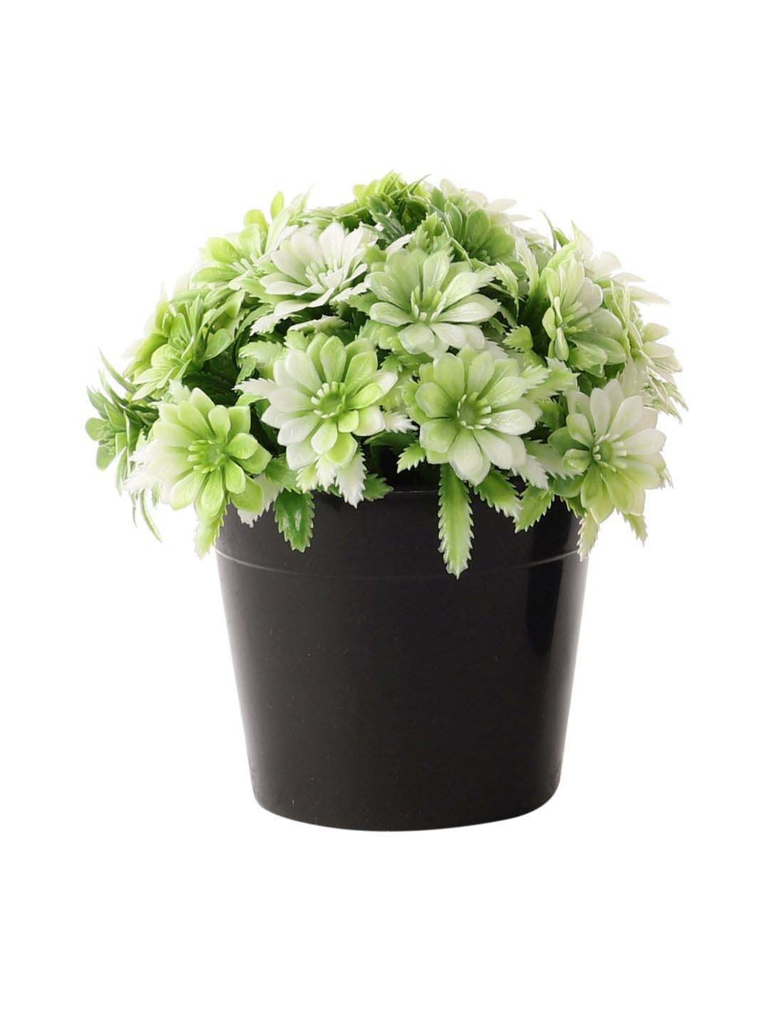 Foliyaj Multicolor Plastic Artificial Plants With Gerba Flowers - Set of 2